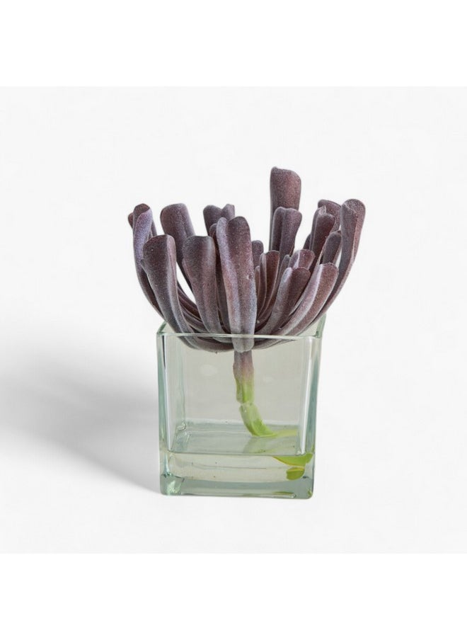 Home Box Liara Succulent Pick In Glass 17 X 17 X 18 Cm  - Image 5