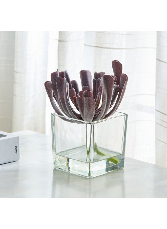 Home Box Liara Succulent Pick In Glass 17 X 17 X 18 Cm  - Image 1