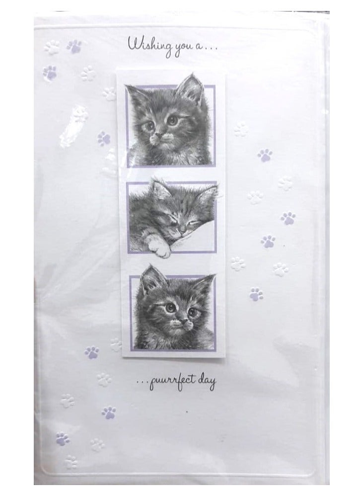Generic Very special birthday greeting card with cute cats, with envelope exclusively designed, 21* 13 cm  - Image 1