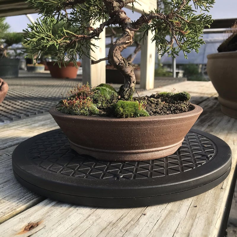 kydely Mighty Mini Bonsai Tree Turntable 12.5" Base Stainless Steel Ball Bearings. Low Cost 200-Pound Capacity 360-Degree Rotation Allows Easy Pruning Or Great Bonsai Tree Displays - Image 5