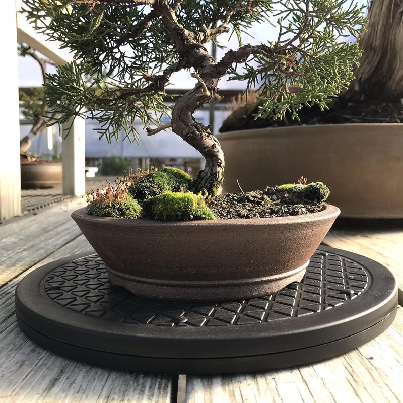 kydely Mighty Mini Bonsai Tree Turntable 12.5" Base Stainless Steel Ball Bearings. Low Cost 200-Pound Capacity 360-Degree Rotation Allows Easy Pruning Or Great Bonsai Tree Displays - Image 4