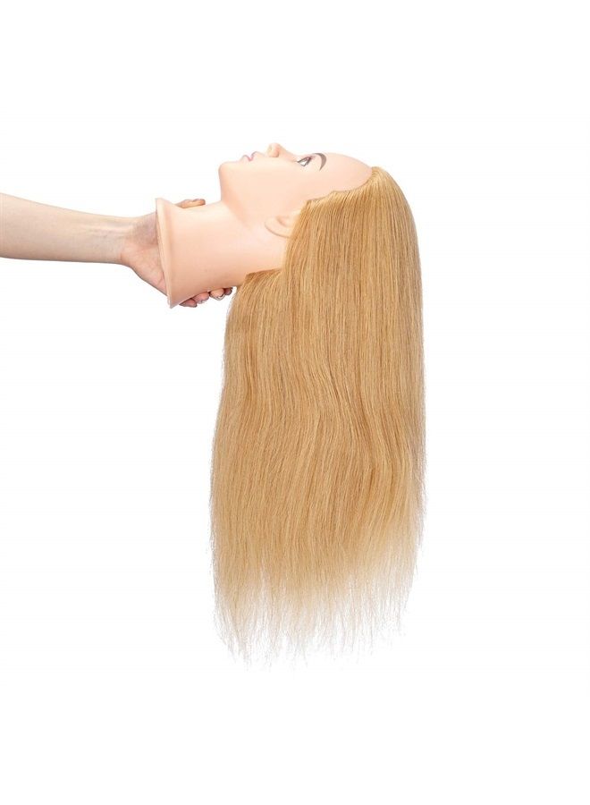 Hairingrid Mannequin Head 24"-26"100% Human Hair Hairdresser Cosmetology Mannequin Manikin Training Head Hair and Free Clamp Holder (R71906W2718H) - Image 4