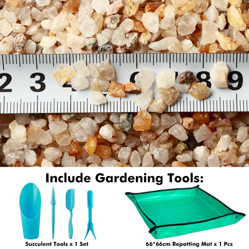 Planterhoma 11 Pounds Coarse Silica Sand Succulent and Cactus Bonsai Stones Soil Cover Gravel for Indoor Outdoor Plants Natural Decorative Rocks for Fairy Gardening, Vase Fillers, Aquariums, Carnivorous Plant Mix - Image 2