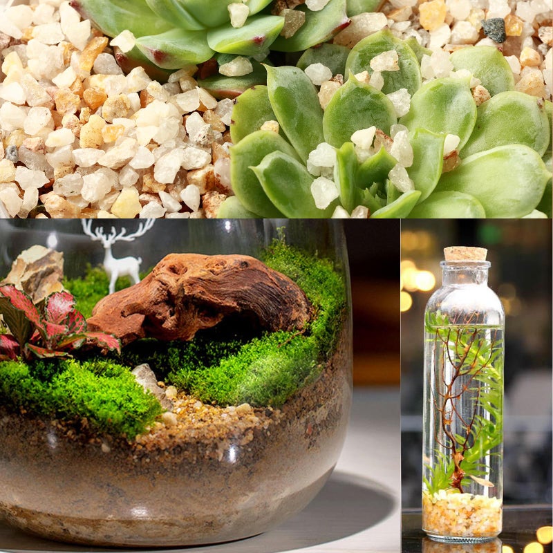 Planterhoma 11 Pounds Coarse Silica Sand Succulent and Cactus Bonsai Stones Soil Cover Gravel for Indoor Outdoor Plants Natural Decorative Rocks for Fairy Gardening, Vase Fillers, Aquariums, Carnivorous Plant Mix - Image 4