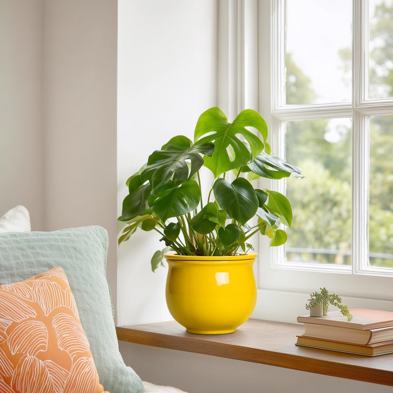 Teagas Ceramic Self Watering Planters, 6 Inch African Violet Pots for Indoor Outdoor Plants, Ceramic Plant Pot with Absorbent Inner Pot, Round Flower Pots, Living Room Decor, Gifts for Women, Yellow - Image 4