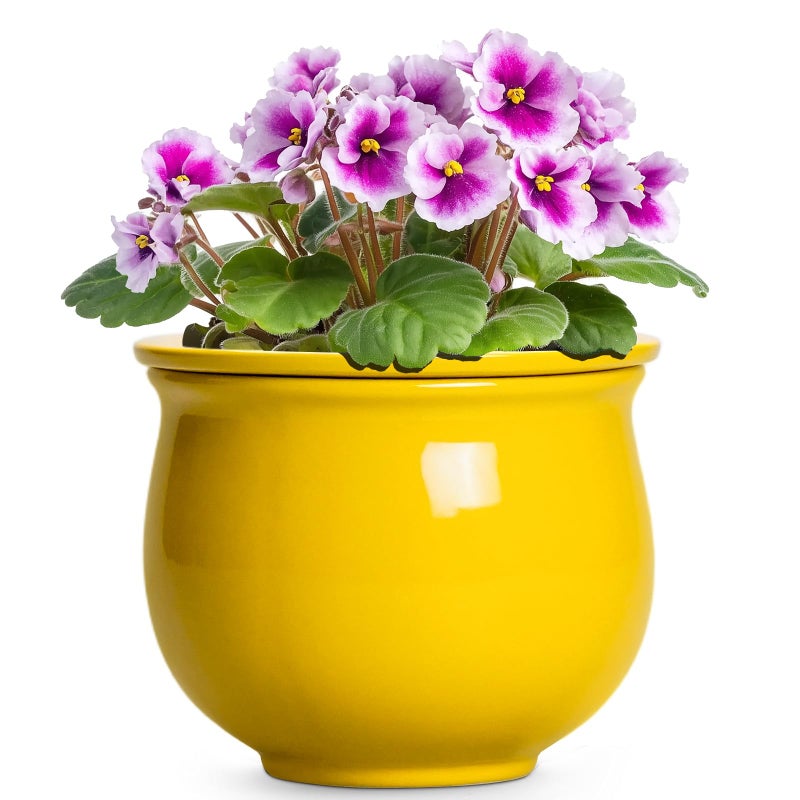 Teagas Ceramic Self Watering Planters, 6 Inch African Violet Pots for Indoor Outdoor Plants, Ceramic Plant Pot with Absorbent Inner Pot, Round Flower Pots, Living Room Decor, Gifts for Women, Yellow - Image 1