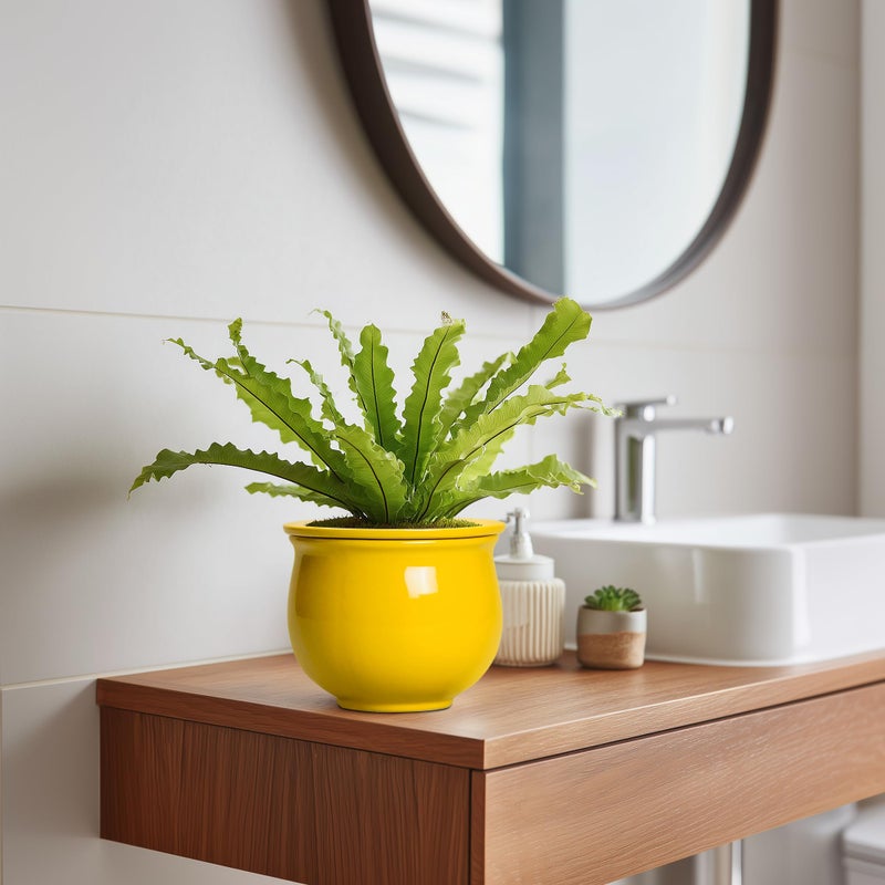 Teagas Ceramic Self Watering Planters, 6 Inch African Violet Pots for Indoor Outdoor Plants, Ceramic Plant Pot with Absorbent Inner Pot, Round Flower Pots, Living Room Decor, Gifts for Women, Yellow - Image 5