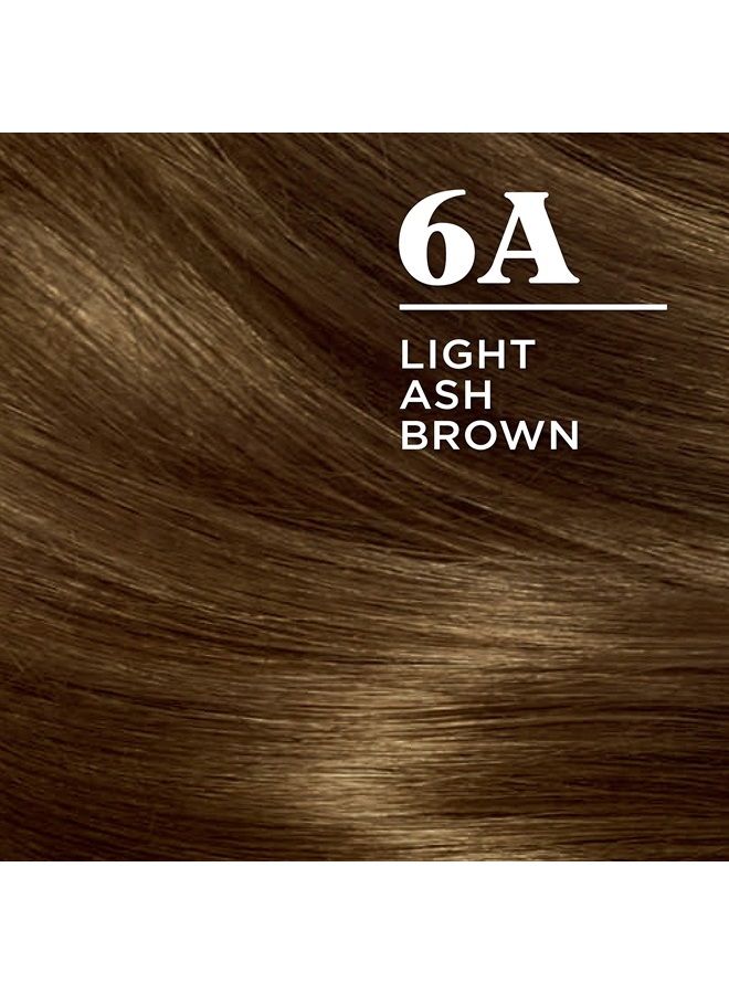 CLAIROL صبغة شعر دائمة نيسن إيزي، لون بني رمادي فاتح 6A، عبوة واحدة - Image 3