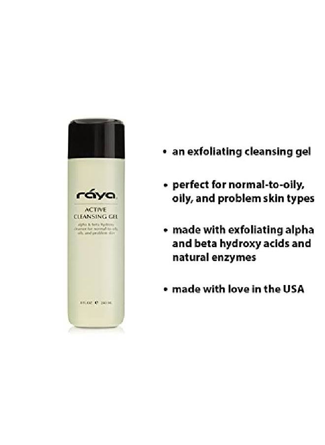 Active Facial Cleansing Gel With Aha And Bha 8 Oz (G107) ; Oilfree And Exfoliating Deep Pore Gel Cleanser For Oily And Breakout Skin ; Made With Alpha And Beta Hydroxy Acids - pzsku/ZF881339F7F7826074670Z/45/_/1662466738/34da3f90-dc15-421c-a981-908c4a537f40