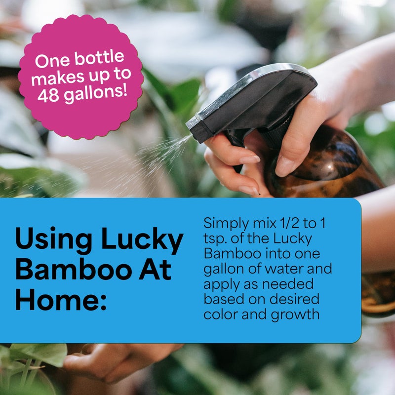 Grow More Lucky Bamboo Fertilizer (2-2-2) - 8oz of USA-Made & Concentrated Liquid Plant Food That Makes 48 Gallons - Outdoor & Indoor Bamboo Plant Food for Fast Growth - Image 3