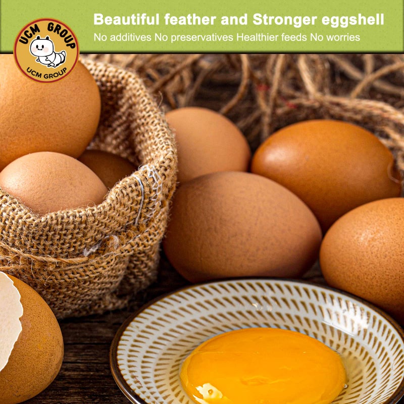 UCM Group 5LB Dried Black Soldier Fly Larvae for Chicken, Poultry, Wild Birds,No Additives, 100% Natural Non-GMO, More Calcium Chicken Treats Than Mealworms - Image 4