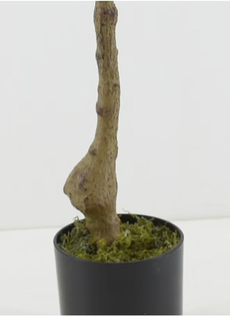 Rock Pow Artificial Olive Tree in Potted Green/Black 120cm  - Image 4