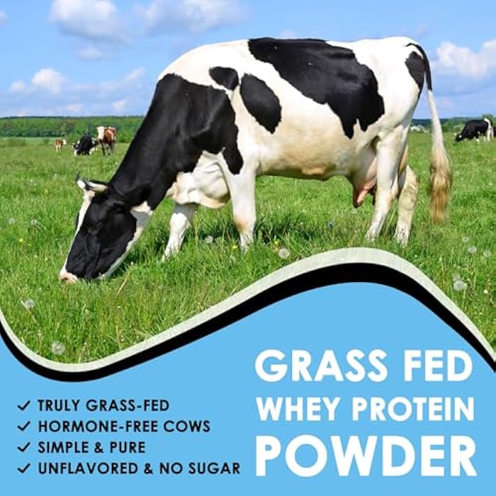 NATURE TARGET Whey Protein Powder, Unflavored Protein Powder, Whey Protein Isolate for Muscle Growth & Recovery, 26G Protein, Gluten Free & No Sugars, 16 Servings, 1.10 Pound (500 G) - Image 5