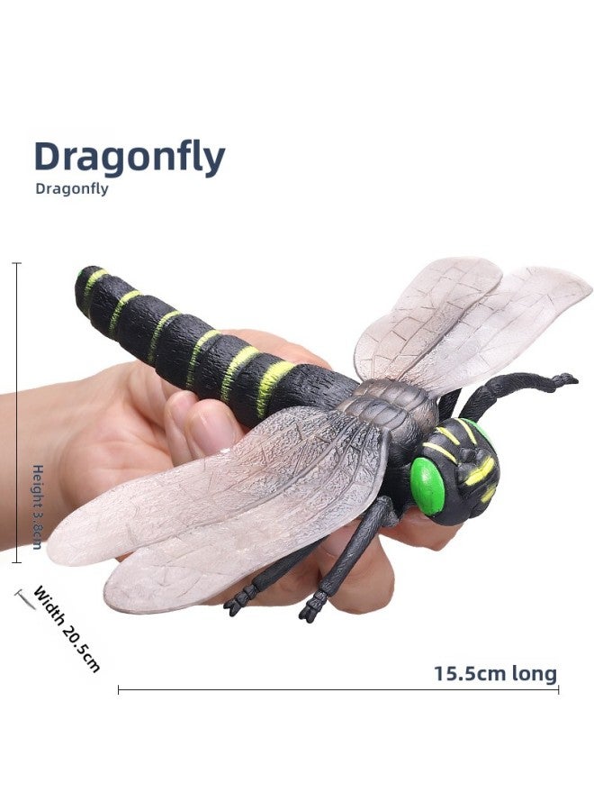 Simulation Insect Toy Model Large Ladybug Dragonfly Cricket Mantis Spider Bee Children's Science And Education Cognitive Gift