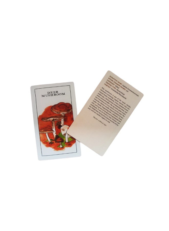 NIBEMINENT Mushroom Observer Oracle Card - Image 2