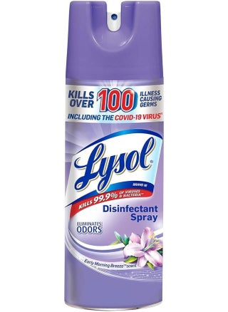 Disinfectant Spray, Sanitizing and Antibacterial Spray, For Disinfecting and Deodorizing, Early Morning Breeze, 1 Count, 12.5 fl oz each, Packaging may vary - pzsku/ZF887B5180EAB35212564Z/45/1743444804/9f7e9349-acde-4ce2-9c4b-3cb64ad27b10