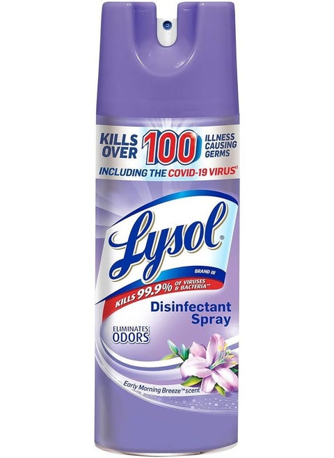 Disinfectant Spray, Sanitizing and Antibacterial Spray, For Disinfecting and Deodorizing, Early Morning Breeze, 1 Count, 12.5 fl oz each, Packaging may vary