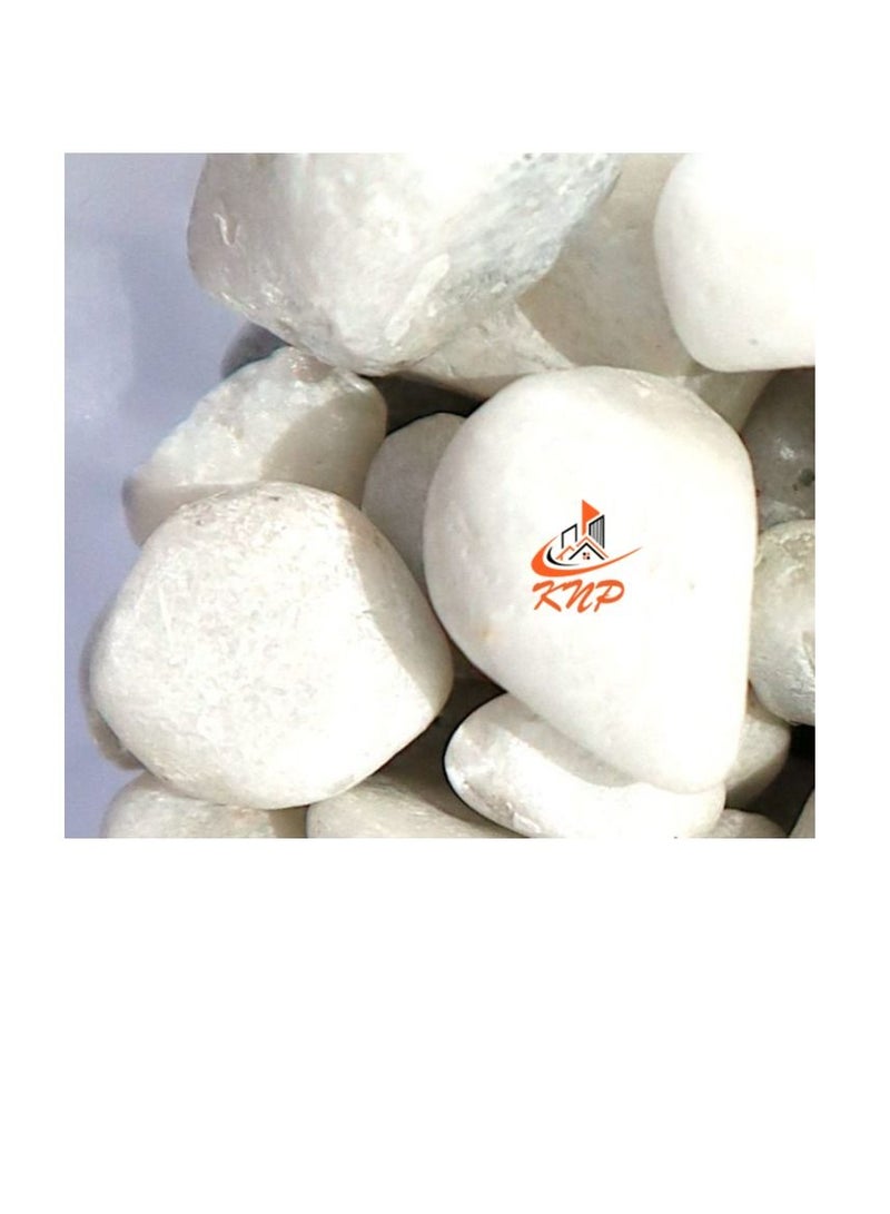 KNP White Color Decorative Painted Pebbles Aquarium 10-15mm 5 kg - Image 1