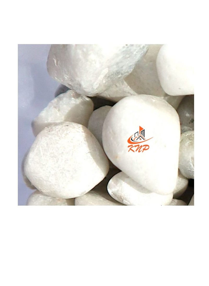 KNP White Color Decorative Painted Pebbles Aquarium 10-15mm 5 kg - Image 3