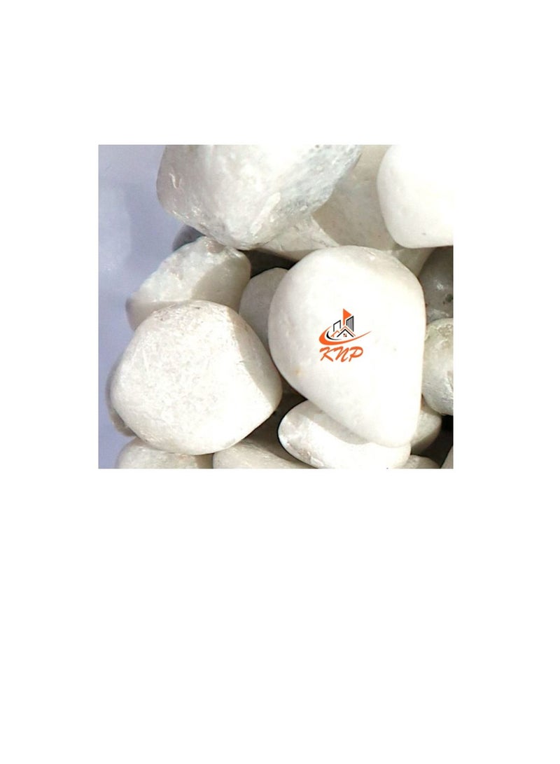 KNP White Color Decorative Painted Pebbles Aquarium 10-15mm 5 kg - Image 2