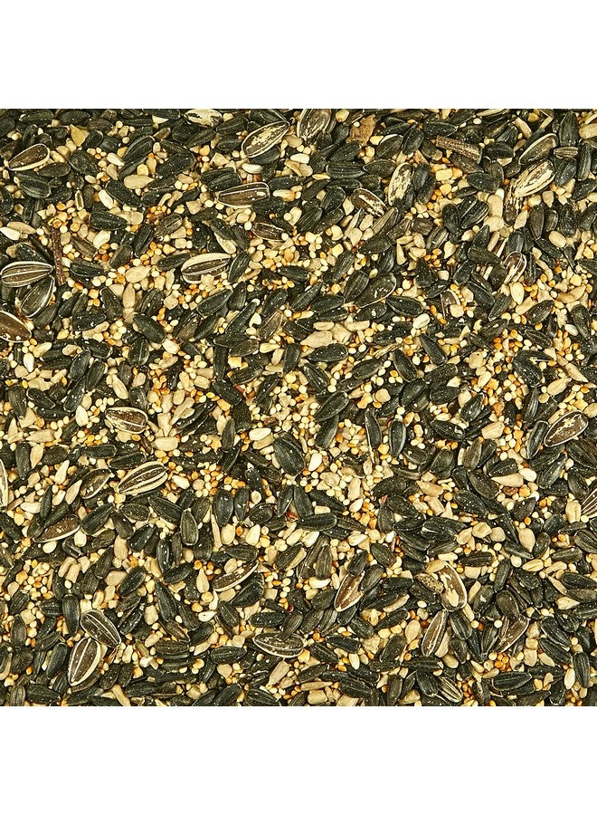 كايتي مزيج الطيور البرية الإقليمي الشمالي الشرقي من كايتي، كيس 7 أرطال - Image 5