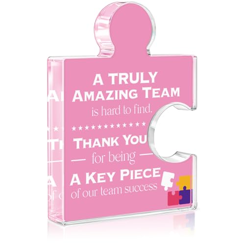 Yigaue Teams Thank You Appreciation Gifts for Women, Teamwork Gift Best Team Ever Gifts for Coworkers Colleagues Employees, a Truly Amazing Team Is Hard to Find Acrylic Puzzle Piece Plaque Office Decor - Image 1