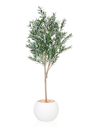 Artificial olive tree in a circular plastic container, 190 cm high - pzsku/ZF88AA6618DA7F1738023Z/45/_/1737213907/a5df6da8-a3db-4a19-8172-11fdc2675661
