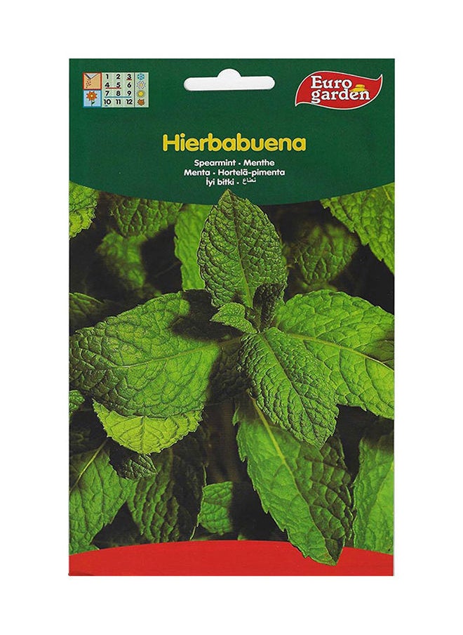 Euro Garden Euro Garden Spearmint Peppermint Premium Quality Seeds  - Image 2