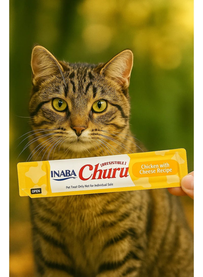 INABA 5 packs Cat Treats – Chicken with Cheese Recipe (5 pcs × 14g) - Image 1