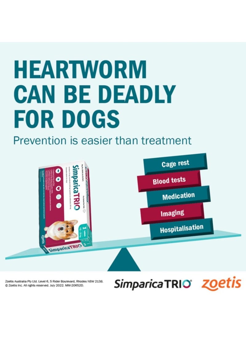 Simparica Trio - Zoetis Simparica TRIO the Complete Flea, Tick, and Heartworm Prevention for Dogs 10- 20 kg - Image 1