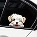 Iprokiu Cute Animal Dog Car Sticker Waterproof PVC DoubleSided Printed Puppy Car Decal Funny Dog Peeking Decal for Car Window Bumper Truck Wall Laptop Car Decor White Dog - Image 2