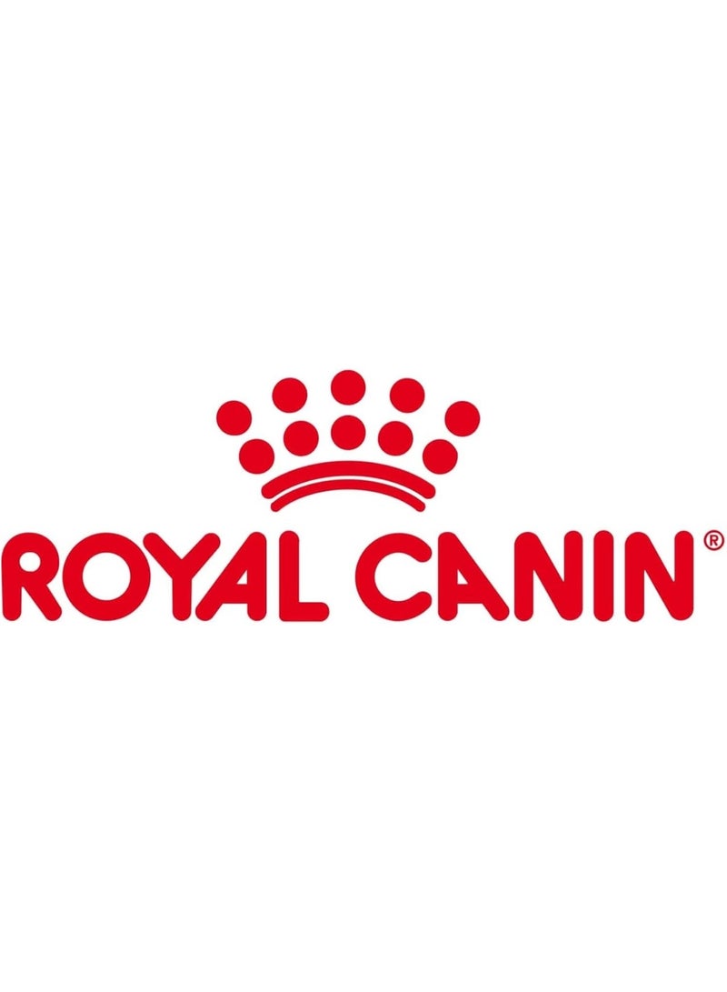 Royal Canin Cat Food Digestive Comfort Dry Mix - Image 4