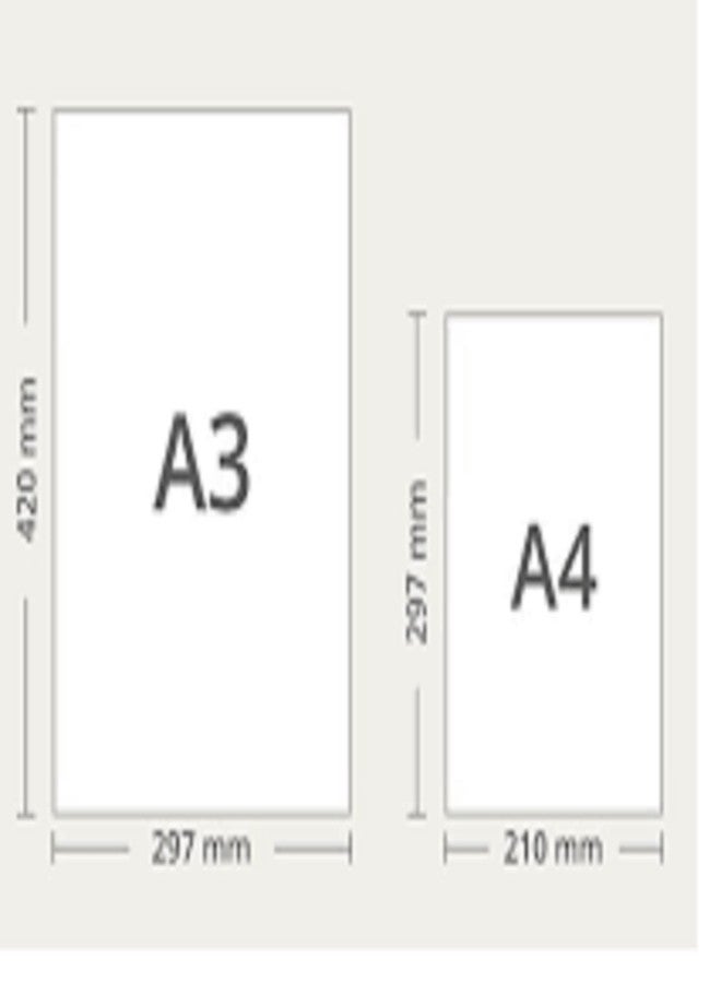 Peeplvalue Pack of 40 A3 Size Designer One Side plane One Sided Line Sheet for School, Colleges, Project, Assignments, Practical Etc Multipurpose… - Image 4