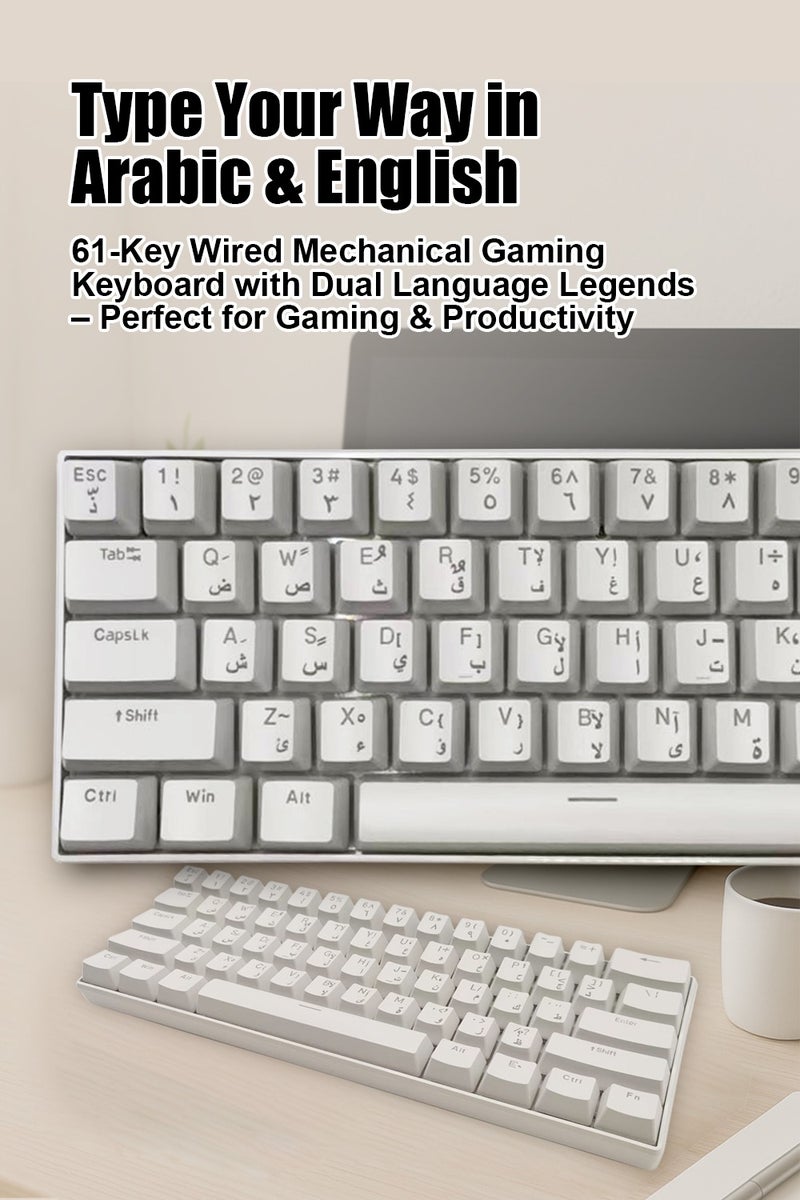 linkship 61 Keys Arabic-English Mechanical Gaming Keyboard, Hot-Swappable Blue Switches, 1000Hz Polling Rate & <1ms Response, RGB Backlit, Ergonomic for Windows/Mac (White) - Image 2