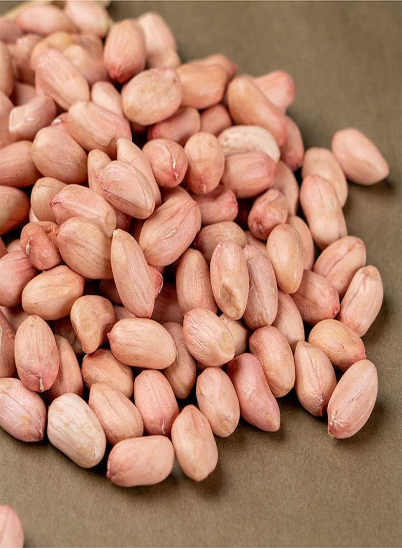 GGOOT 30Pcs Peanut Seeds Non GMO Vegetables Grow Quickly and Have Good Ecological Effects Suitable for The Whole Family to Enjoy - Image 2