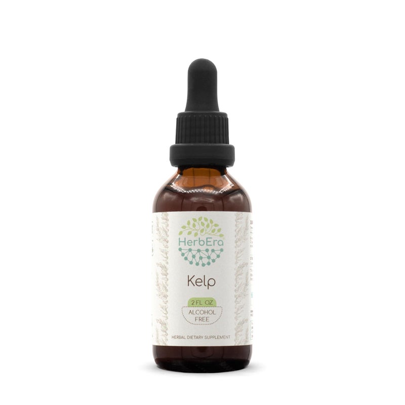 HerbEra Kelp B60 AlcoholFree Herbal Extract Tincture Concentrated Liquid Drops Natural Kelp Ascophyllum nodosum 2 fl oz
