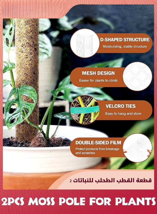 24 بوصة قطب الطحالب للنباتات,2 قطع من القطب البلاستيكي لمصانع التسلق,مونسترا ومصانع التسلق,مجموعة دعم المصنع لمصانع التسلق,, - Image 5