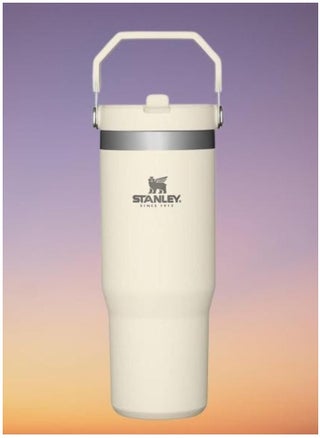 IceFlow 30 oz Stainless Steel Tumbler with Leak-Resistant Flip Straw - Vacuum Insulated Water Bottle for Home, Office, or Car, Keeps Drinks Cold for 12 Hours, Cream Color – Durable, Stylish, Spill-Free Hydration for Everyday Use - pzsku/ZF89466144B99C91D52BBZ/45/1747299166/4975e91a-482d-47c1-9f41-da1489a3a8c9