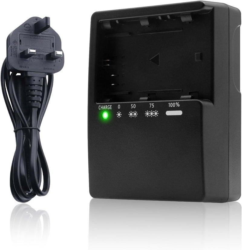 LumsAura LP-E6 Battery Charger Compatible with Canon LC-E6 LC-E6N LC-E6NH Batteries, Replacement Charger for EOS R5 R6 R7 5D Mark II III IV 6D Mark II 7D Mark II 60D 70D 80D 90D Cameras - Image 1