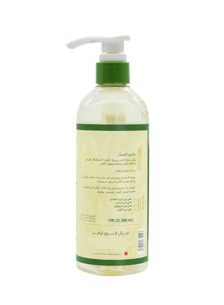 ناتشورال فوريفر شامبو الصبار للشعر الدهني 500 مل - Image 2