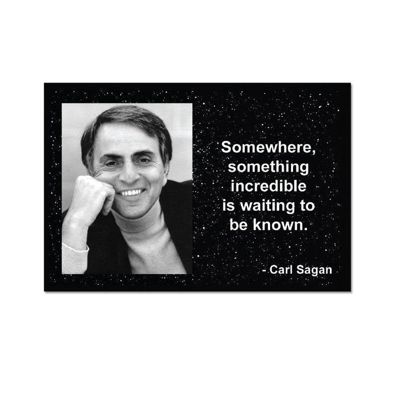 Somewhere Something Incredible is Waiting to be Known Refrigerator Magnet 3 x 2