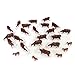 ERTL 164th 25 Pack Herefords with Calves - Image 2