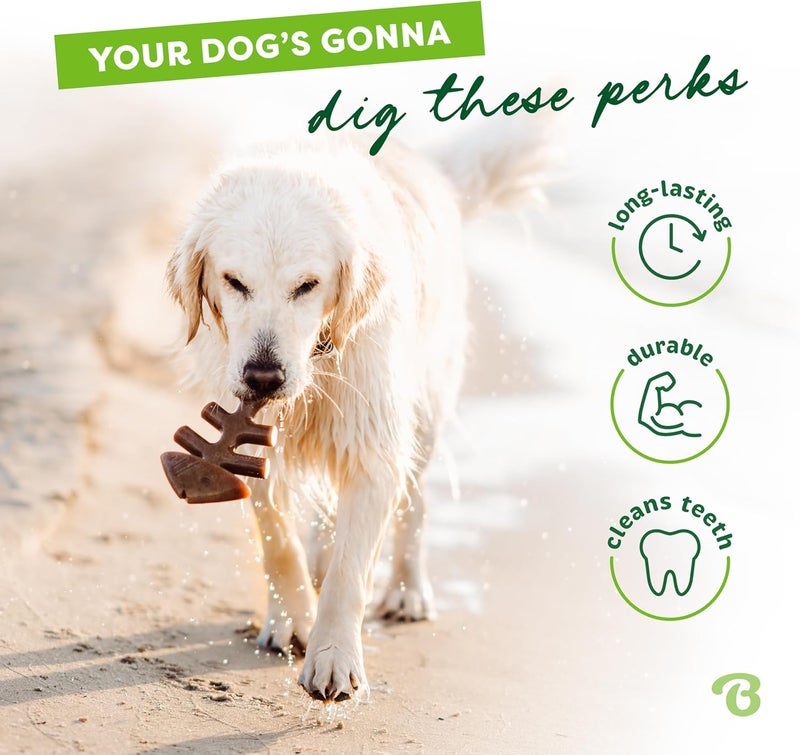 Benebone Indestructible Fishbone Dog Chew Toy for Aggressive Chewers, Long Lasting Tough Boredom Breaker for Dogs, Real Jack Salmon Flavour, For Large Dogs, Made in the USA. - Image 3