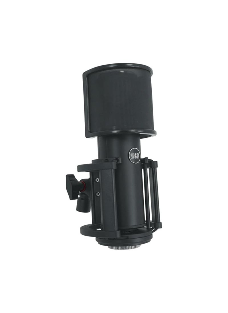 512 Audio Skylight Large Diaphragm Condenser Xlr Microphone For Podcasts, Streaming And Vocal Recordings