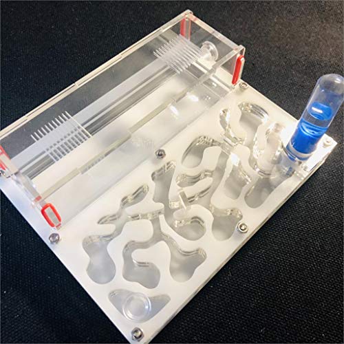 ANT GRAPE ANT 150mmx110mm Test Tube Moisture Big Space Nest Farm Acrylic Insect Villa House Ecological Workshop White - Image 1