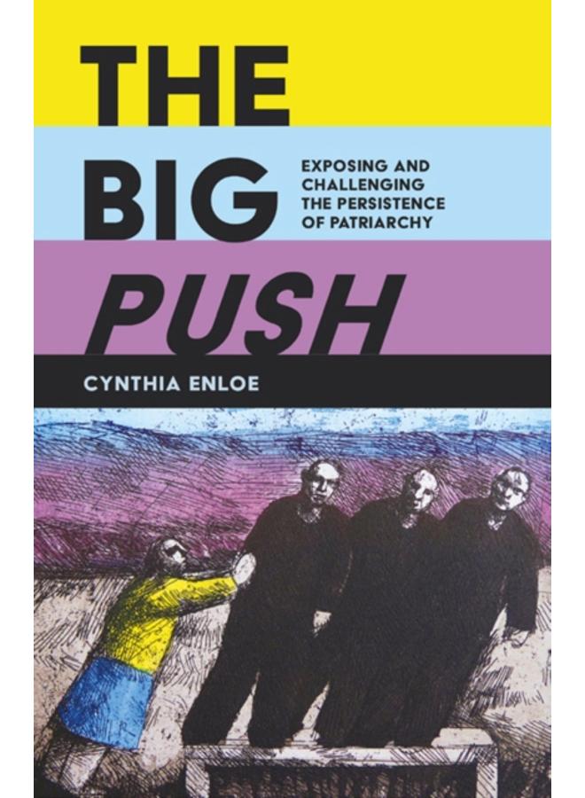 The Big Push : Exposing and Challenging the Persistence of Patriarchy 