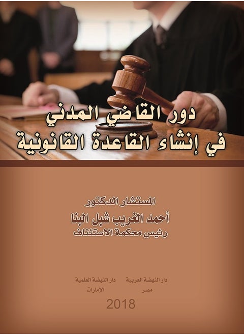 دور القاضي المدني في إنشاء القاعدة القانونية