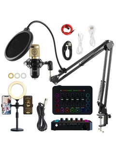 Standard package + fill light + gold microphone