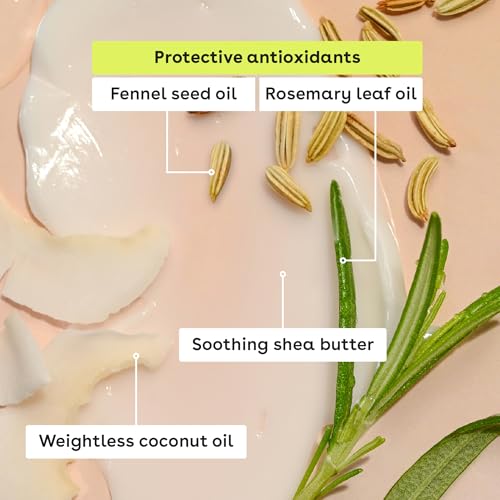 eos 100% Natural & Organic Lip Balm Stick- Vanilla Bean | Dermatologist Recommended for Sensitive Skin | All-Day Moisture Lip Care Products | 0.14 oz - Image 5