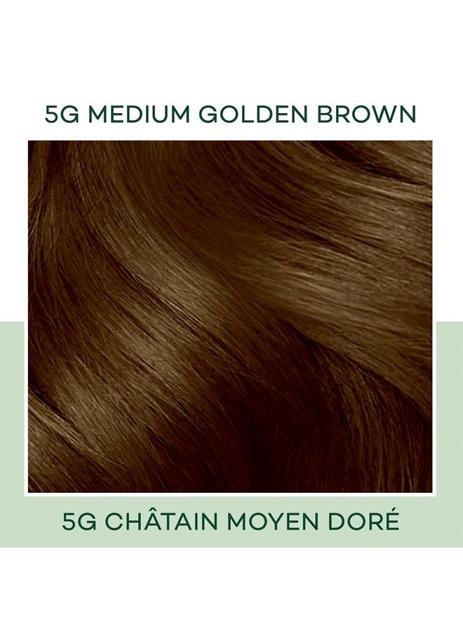 CLAIROL Natural Instincts Demi-Permanent Hair Dye, 5G Medium Golden Brown Hair Color, Pack of 1 - Image 3
